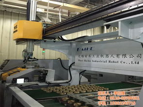 無錫百禾工業(yè)機(jī)器人 實現(xiàn)高效自動化上下料
